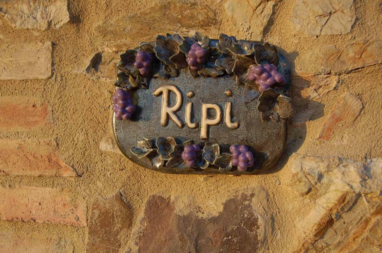Podere Ripi Волтера Екстериор снимка