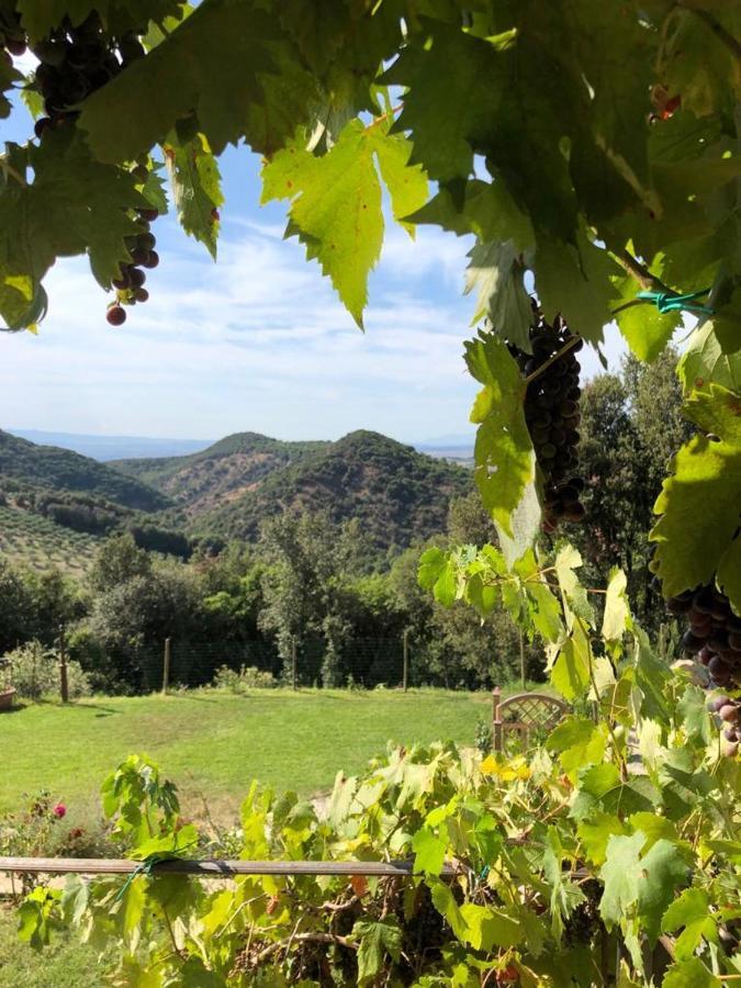 Podere Ripi Волтера Екстериор снимка